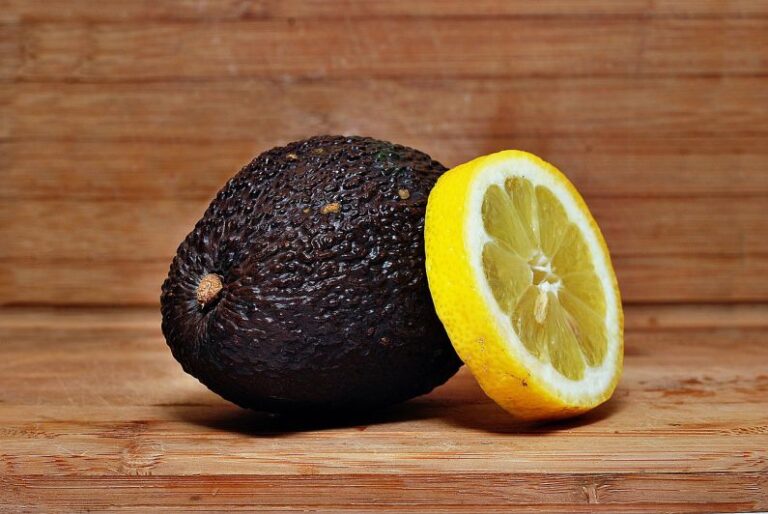 Porosity - avocado, lemon, food