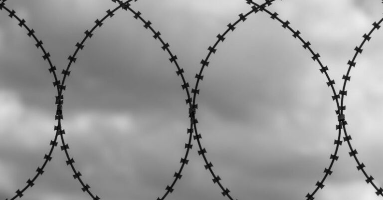 Skin Barrier - barbed wire used in a war zone